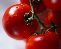 Pulizia del cibo